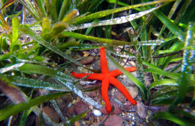 Kayak en el Cabo de Gata - Foto 4