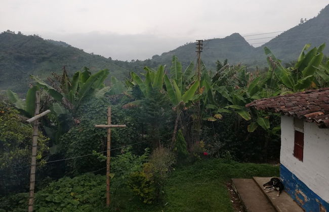 Excursión a Guática y Quinchía - Foto 7