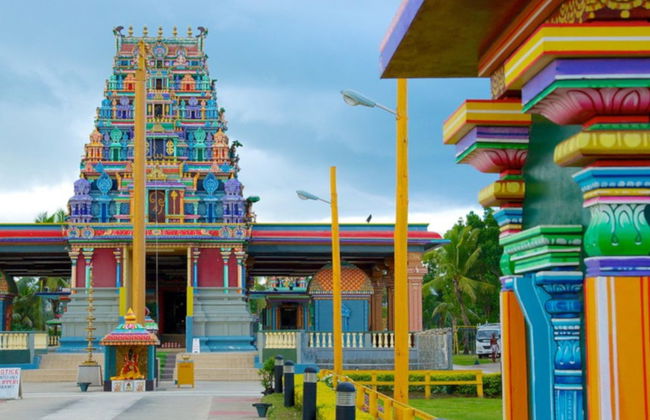 Nadi Guided Tour and Sabeto Mud Bath - Foto 1