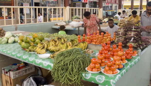 Nadi Guided Tour and Sabeto Mud Bath - Foto 2