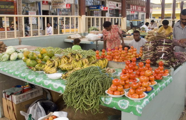 Nadi Guided Tour and Sabeto Mud Bath - Foto 2
