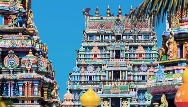 Nadi Guided Tour and Sabeto Mud Bath - Foto 5