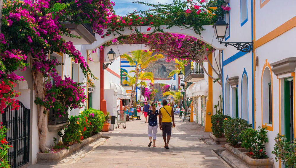 Puerto de Mogán and Market Half-Day Trip - Foto 1