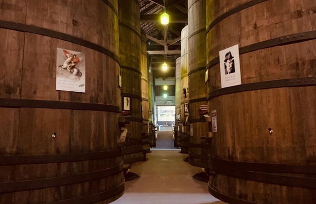 Tour delle cantine di Bento Gonçalves e Garibaldi - Foto 4