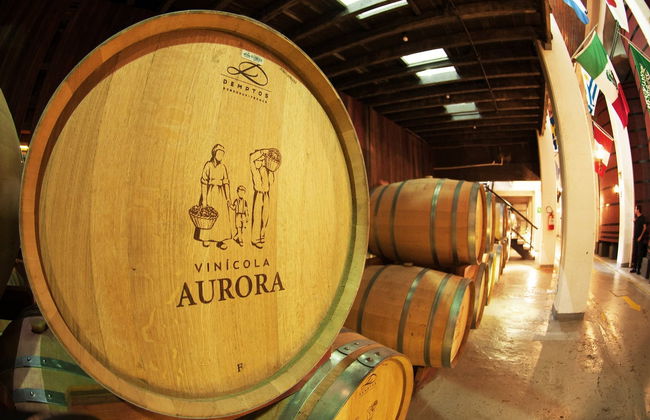 Tour delle cantine di Bento Gonçalves e Garibaldi - Foto 7