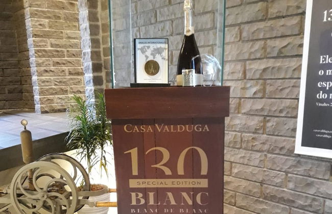Tour delle cantine di Bento Gonçalves e Garibaldi - Foto 6
