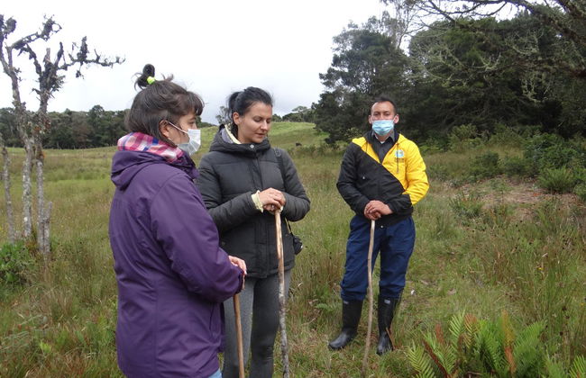 Excursion à la lagune de la Cocha et à l'île de La Corota - Photo 5