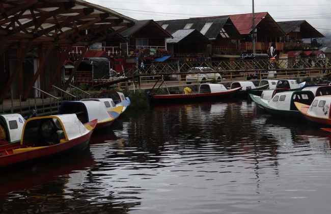 Excursion à la lagune de la Cocha et à l'île de La Corota - Photo 3