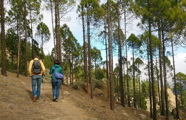Senderismo por el Roque Nublo - Foto 2