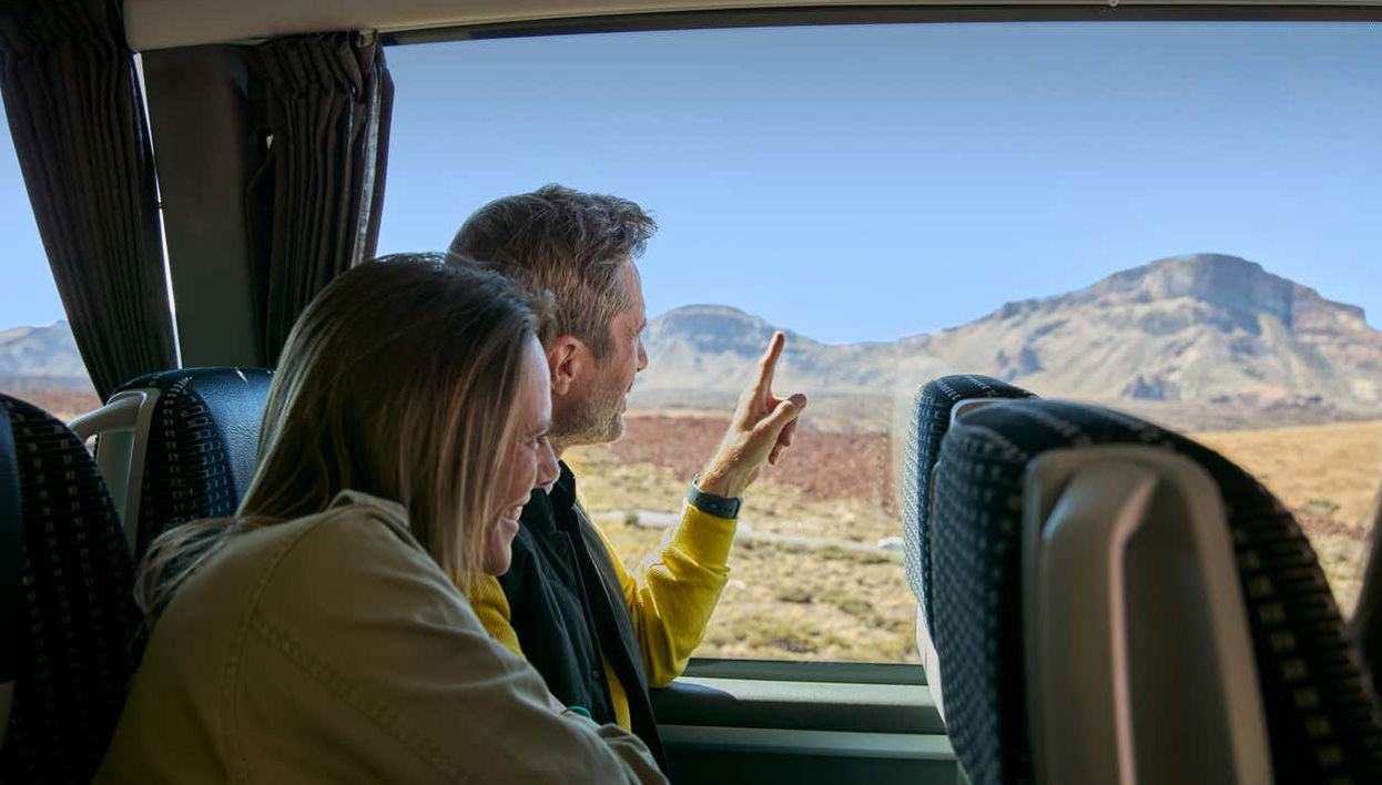 Teide National Park Excursion - Foto 1