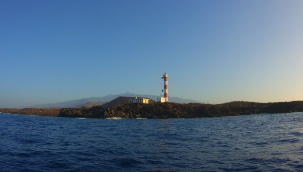 Malpaís de Rasca Boat Trip & Snorkelling - Photo 2