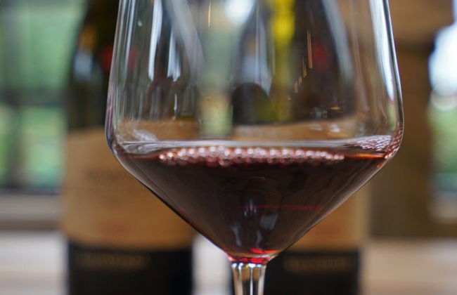 Valpolicella Electric Bike Wine Tour - Foto 6