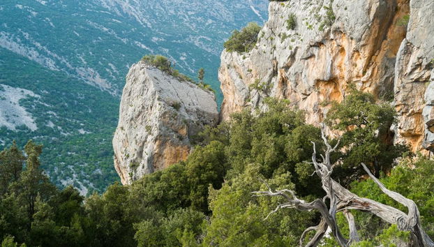 Excursión a Tiscali - Foto 3