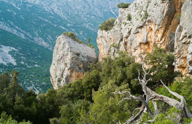 Excursion à Tiscali - Photo 3