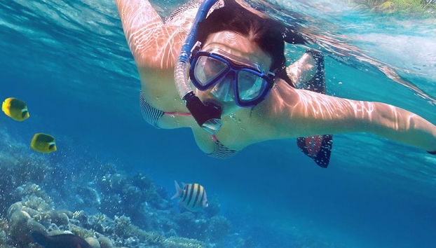 Kayak y snorkel en la bahía de Biesanz - Foto 4