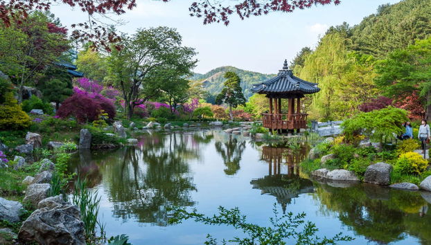 Excursión a la Petite France, Isla Nami y Jardín de la Calma de la Mañana - Foto 2