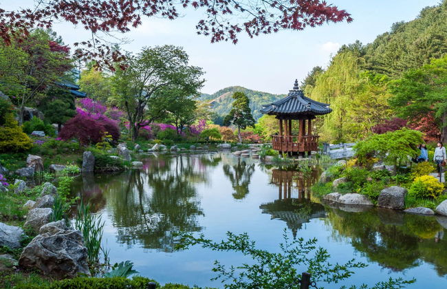 Excursión a la Petite France, Isla Nami y Jardín de la Calma de la Mañana - Foto 2