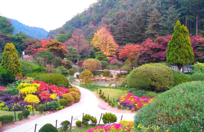 Excursión a la Petite France, Isla Nami y Jardín de la Calma de la Mañana - Foto 1