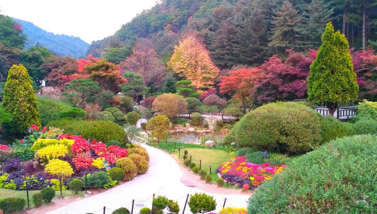 Excursión a la Petite France, Isla Nami y Jardín de la Calma de la Mañana - Foto 1