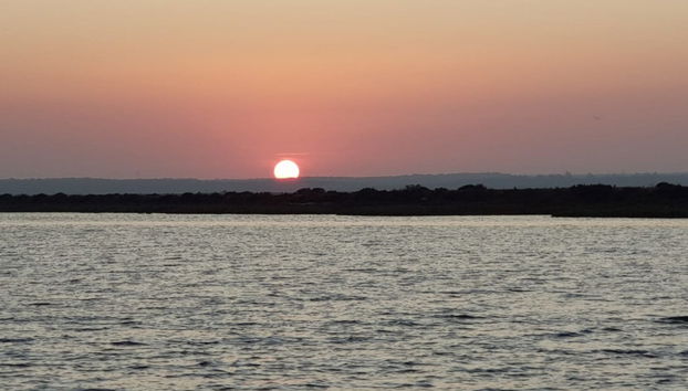 Passeio de barco pela ria de Punta Umbría ao entardecer - Foto 3