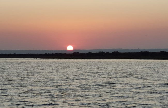 Punta Umbria Evening Boat Cruise - Photo 3