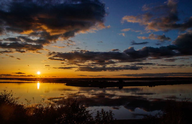 Odiel Marshes Sunset Boat Trip - Photo 1