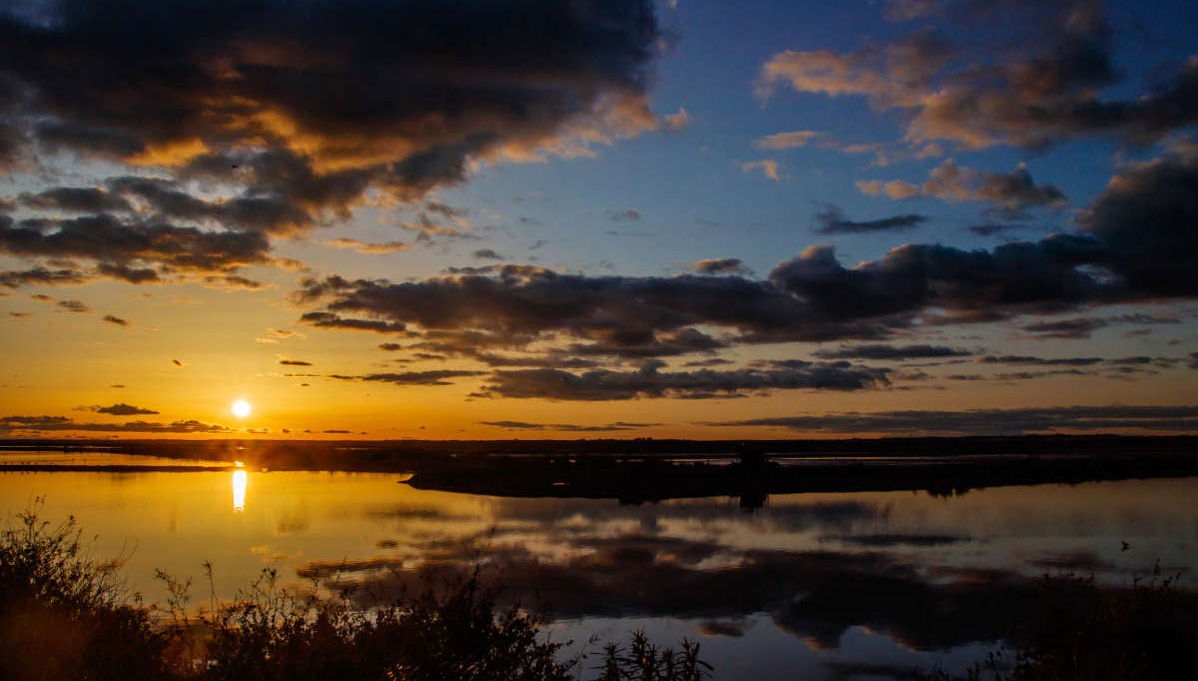Paseo en barco por las marismas del Odiel al atardecer - Foto 1