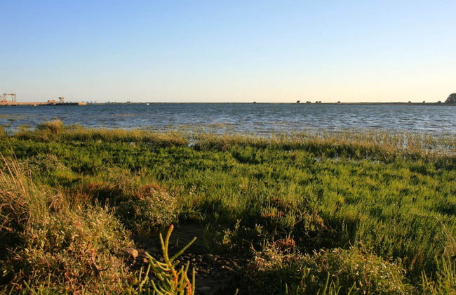 Odiel Marshes Sunset Boat Trip - Photo 5