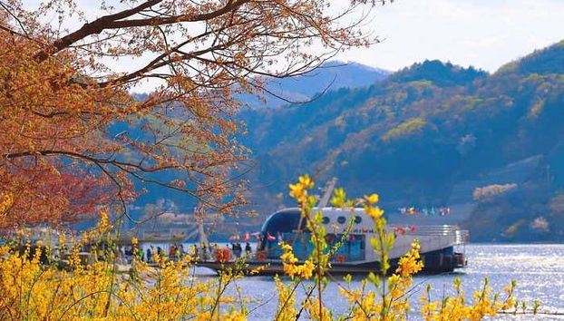 Nami Island Day Trip - Foto 4