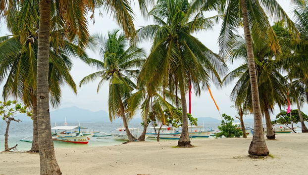 Excursão de barco às ilhas de Honda Bay - Foto 2