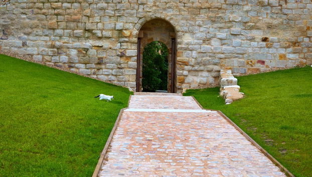 Visita guiada por Zamora - Photo 2