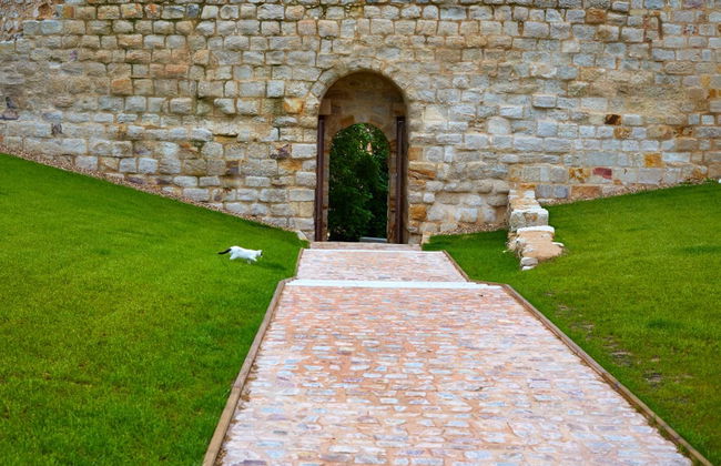 Visita guiada por Zamora - Photo 2