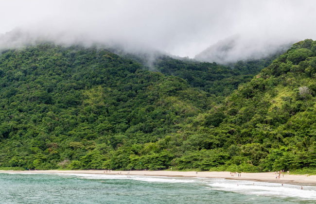 Excursion à Trindade - Photo 2
