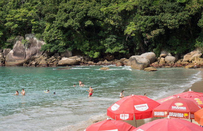 Excursion à Trindade - Photo 3