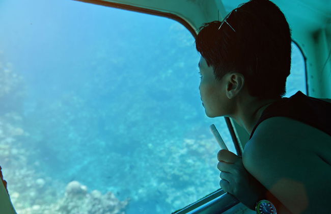 Glass Bottom Boat Tour - Foto 1