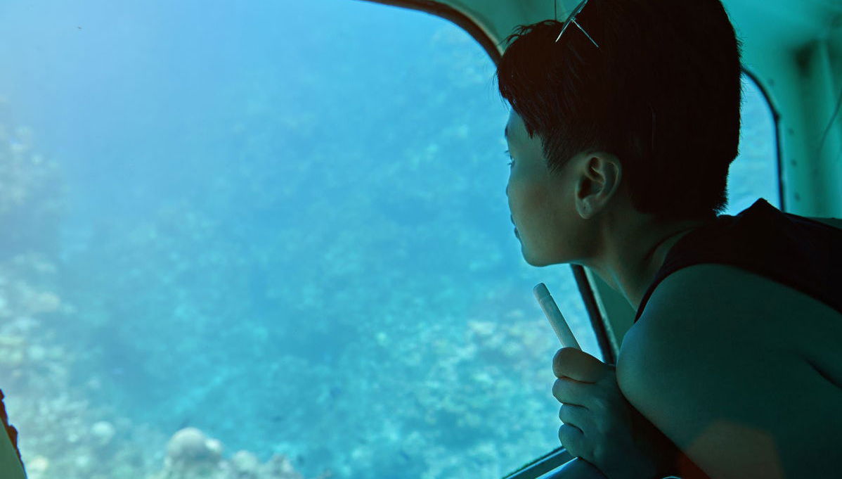 Glass Bottom Boat Tour - Foto 1