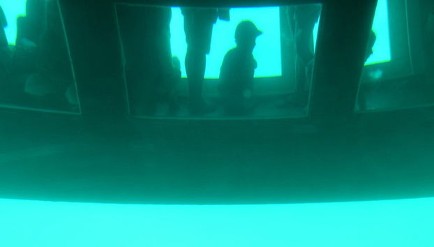 Glass Bottom Boat Tour - Foto 5