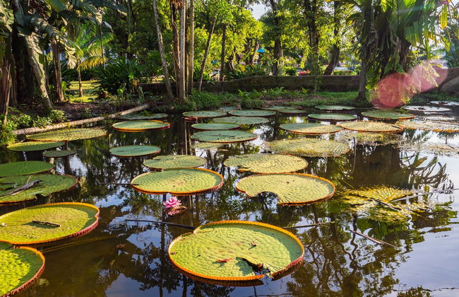 Circuit de 3 jours dans la forêt amazonienne - Photo 4