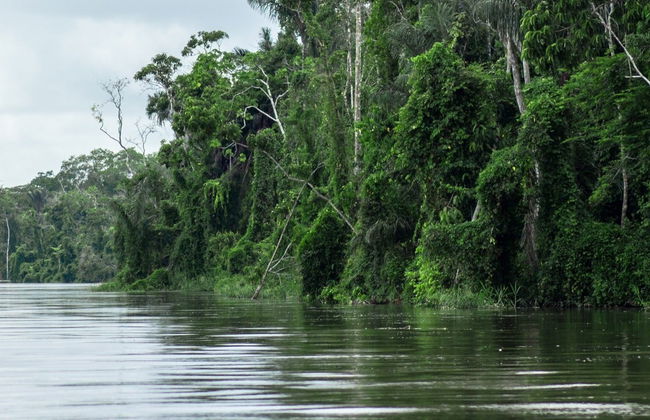 Circuit de 3 jours dans la forêt amazonienne - Photo 8