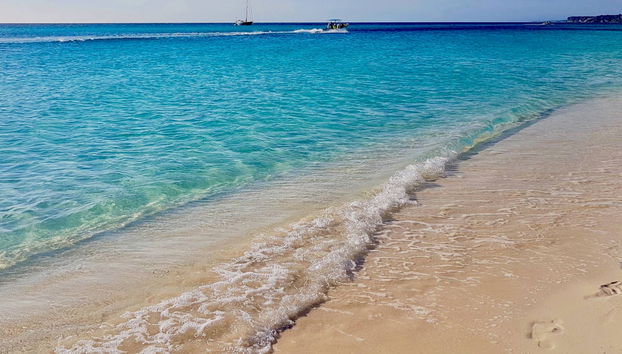 Bahia de las Aguilas: 2-Day Trip - Photo 4