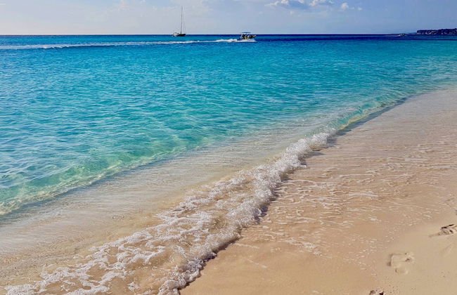 Bahia de las Aguilas: 2-Day Trip - Photo 4