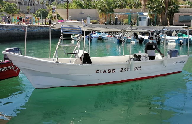Paseo en barco por Cabo San Lucas con snorkel - Foto 4