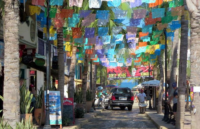 Excursión a Sayulita y San Pancho - Foto 2
