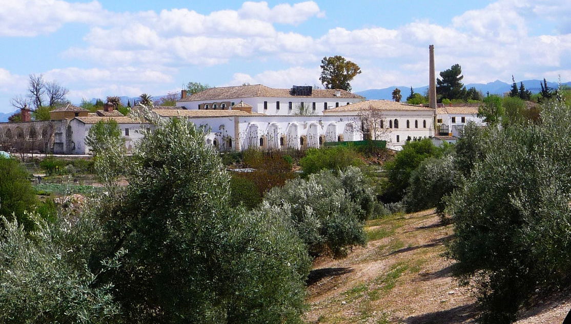 Olive Oil Museum Guided Tour & Olive Oil Tasting - Foto 1