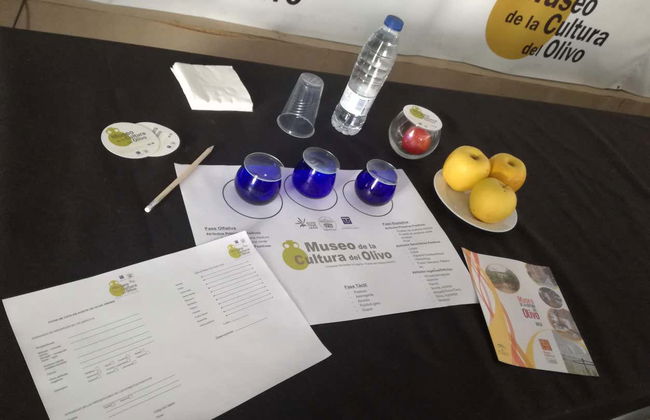 Visita guiada por el Museo del Olivo + Cata de aceites - Foto 11