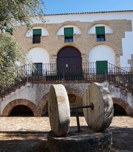 Photo – Olive Oil Museum Guided Tour &amp; Olive Oil Tasting