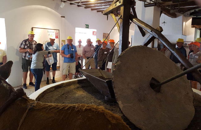 Visita guiada por el Museo del Olivo + Cata de aceites - Foto 15