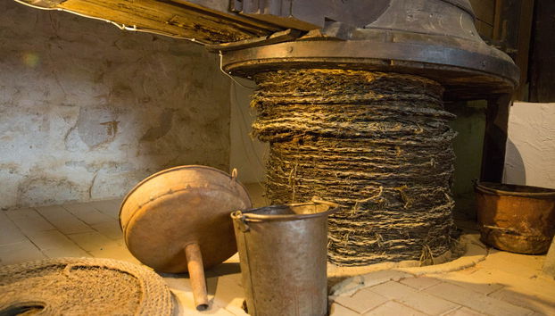 Olive Oil Museum Guided Tour & Olive Oil Tasting - Photo 5