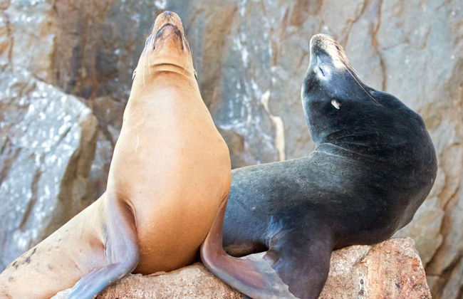 Giro in barca con fondo di vetro - Foto 1