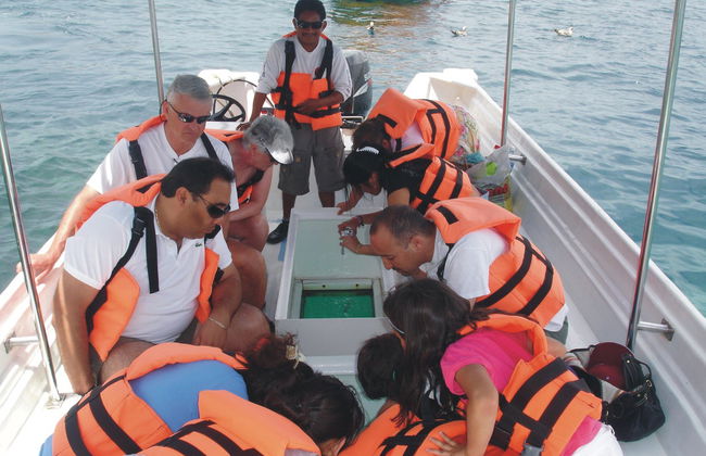 Paseo en barco con fondo de cristal - Foto 3